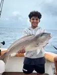 Great time on the CCO Remix Charters!