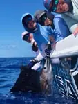 Great time on the CCO Remix Charters!