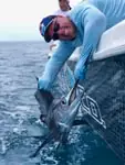 Great time on the CCO Remix Charters!