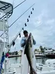 Great time on the CCO Remix Charters!