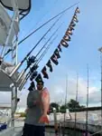 Great time on the CCO Remix Charters!